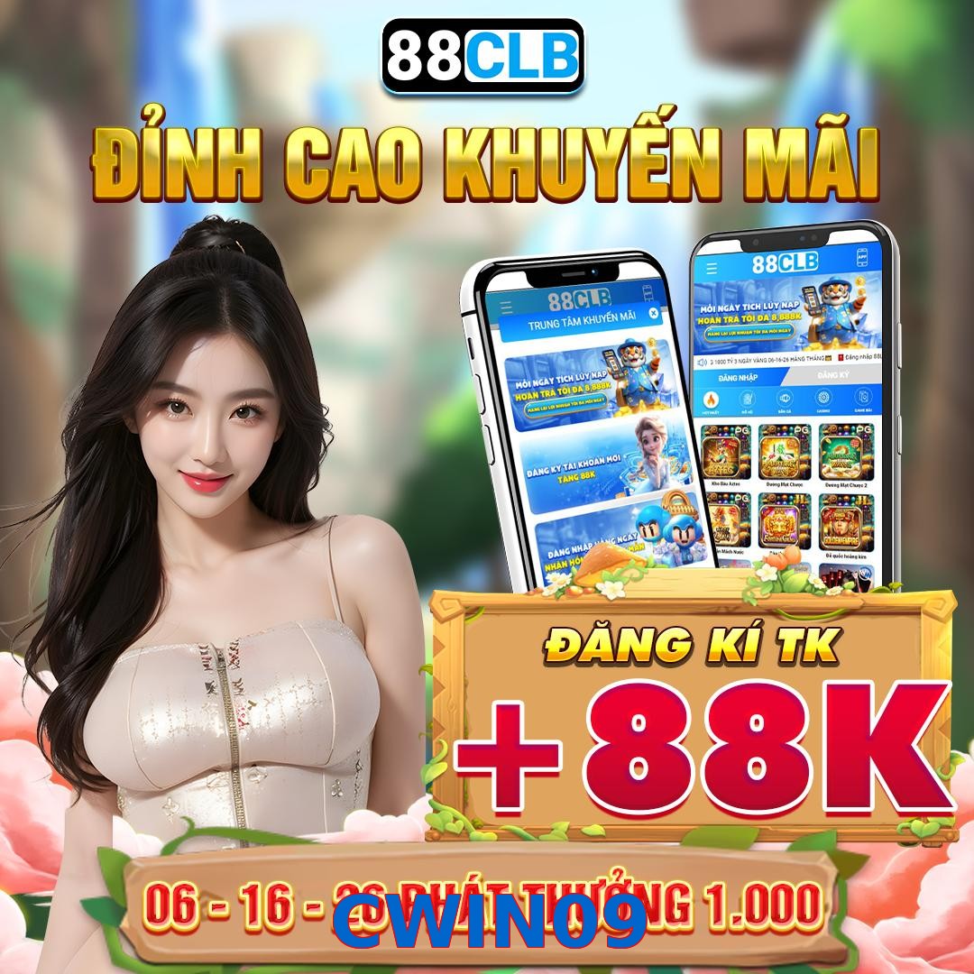 CWIN09