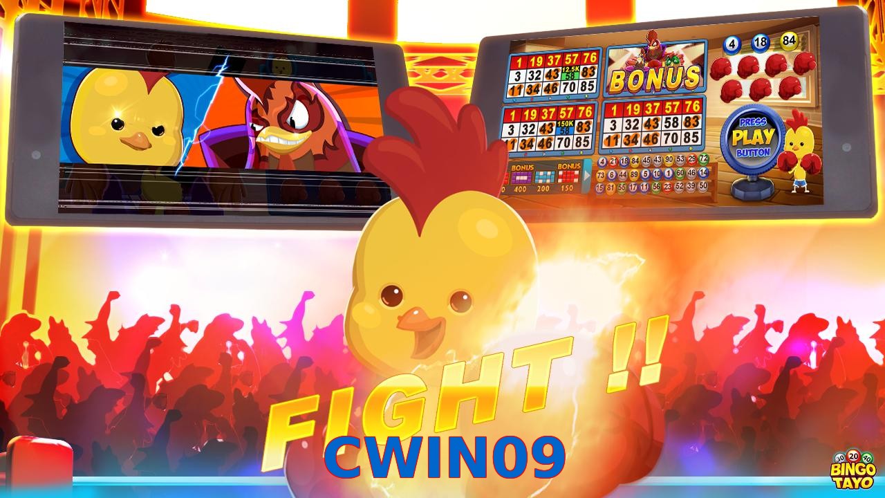 CWIN09