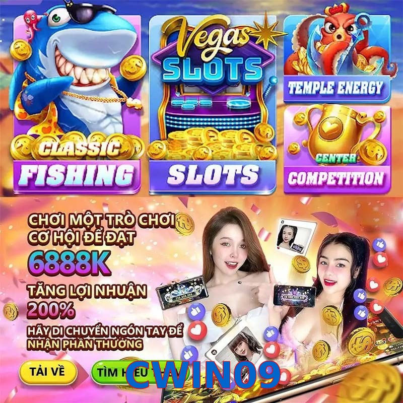 CWIN09