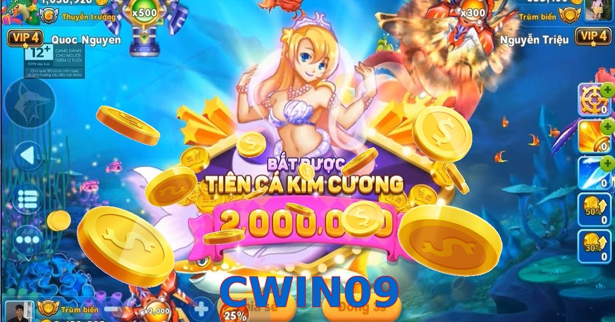CWIN09