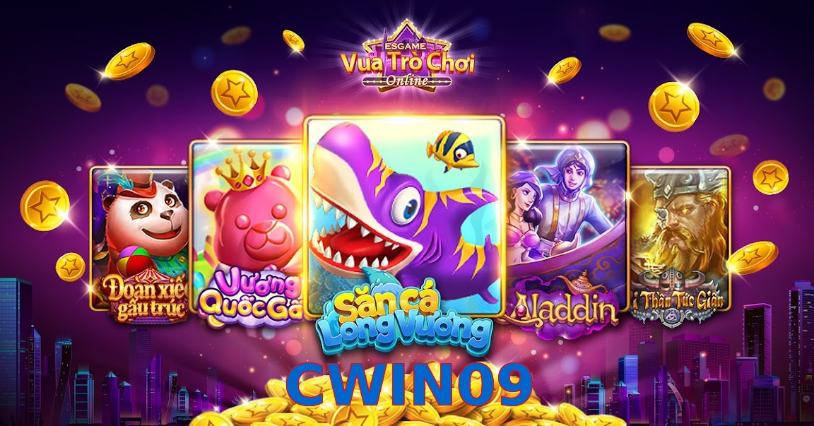 CWIN09