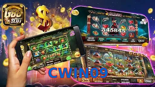 CWIN09