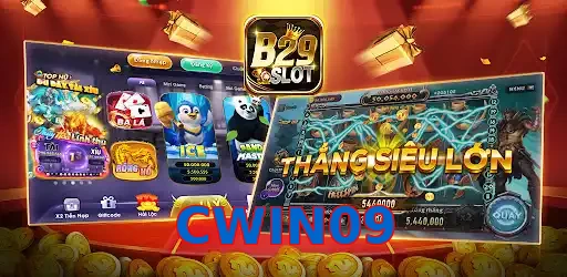 CWIN09