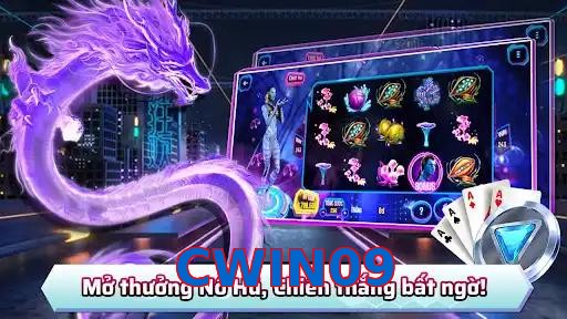 CWIN09