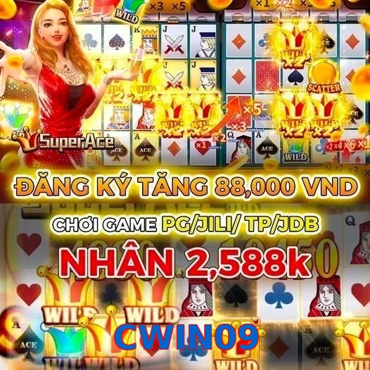 CWIN09