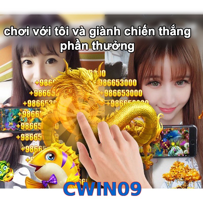 CWIN09