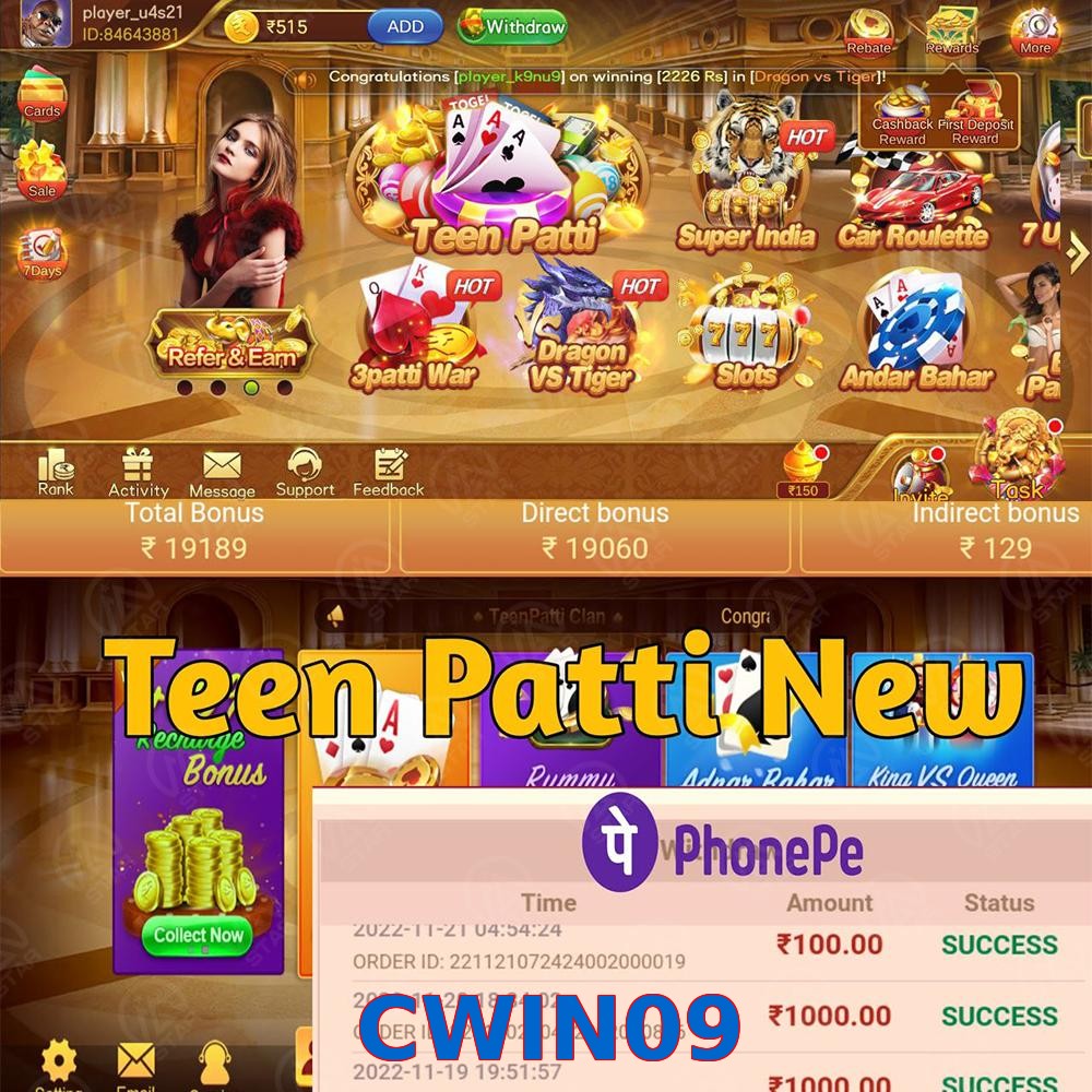 CWIN09
